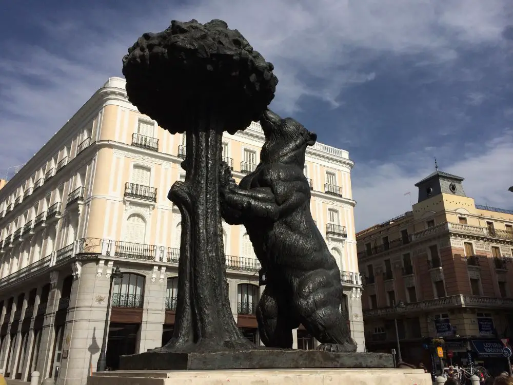 Urso de madrid, esta de pe, apoiado na arvore, comendo um fruto 