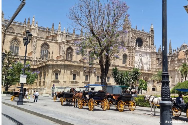cathedral de sevilha A lateral da imponente Catedral de Sevilha revela sua grandiosidade e riqueza de detalhes, impressionando pela escala e arquitetura monumental.