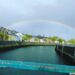 cidade de cork com rio e casas coloridas tipicas da cidade