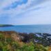 Alt=Ballyncotton Cliff Walk, foto mosta longo caminho, com mar e paisagem verde em volta para percorrer