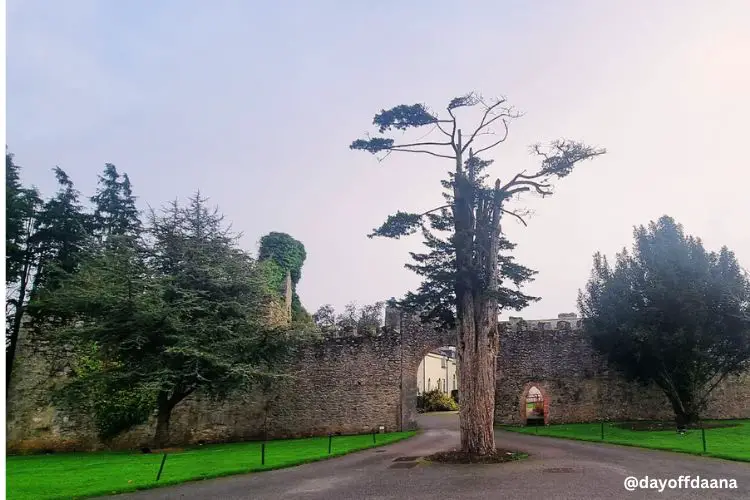 Alt = ruinas do castelo, da familia Fitzgerald em Castlemartyr