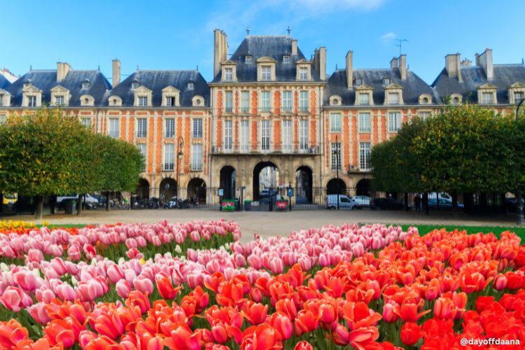 Alt: Foto mostrando tulipas de várias cores, com a elegante Place des Vosges ao fundo.