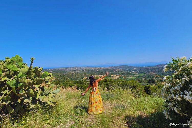 vista embonas