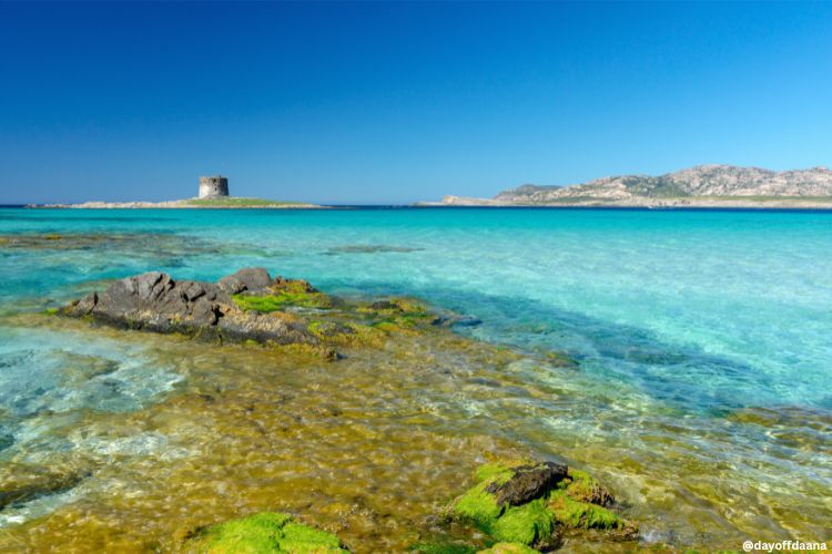 Praia de La Pelosa Sardenha, verao na Europa.